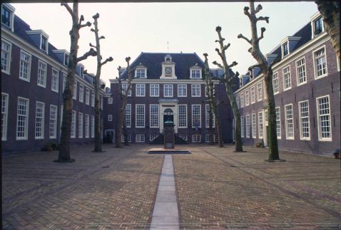 2014-12/118 Platanen 655.jpg