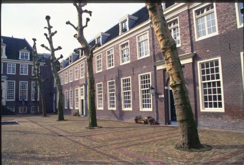 2014-12/118 Platanen 658.jpg