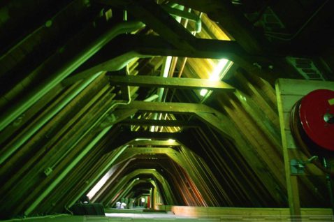 2014-12/118 Platanen oost 047.jpg