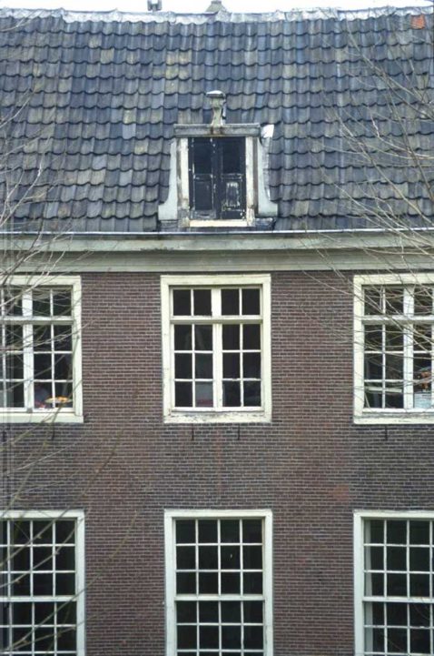 2014-12/118 Platanen oost 076.jpg