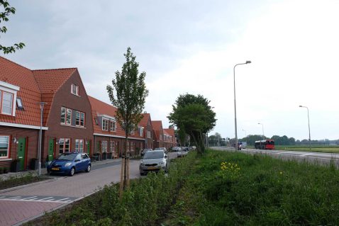 2021-04/537-straman-4