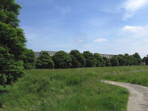 2013-10/IMG_2148 (1).jpg