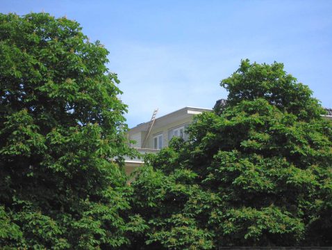 2013-10/IMG_2149 (1).jpg