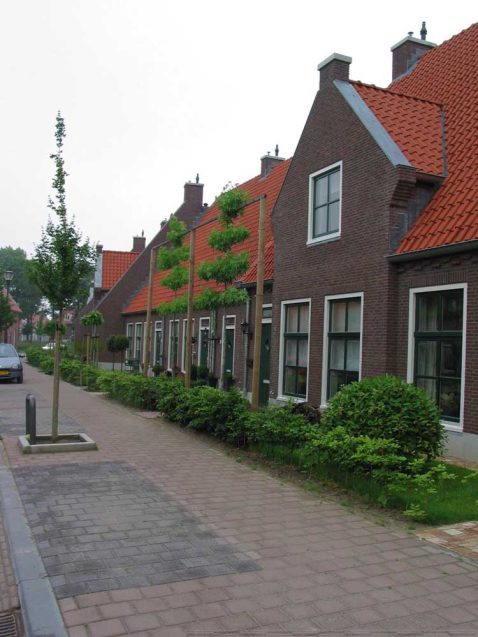 2013-10/IMG_8002 (1).jpg