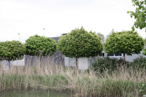 2014-10/mb 2010_05_117802.jpg