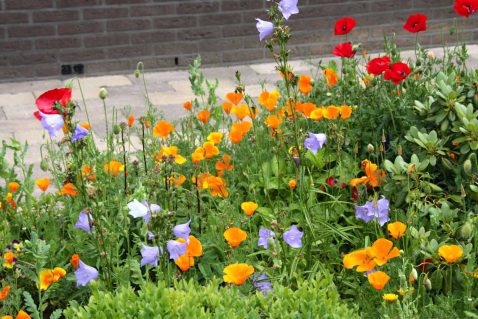 2013-11/mb 2012_06_17 8698.jpg