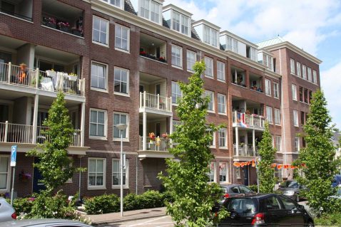 2014-11/mb 2012_06_17 8736.jpg