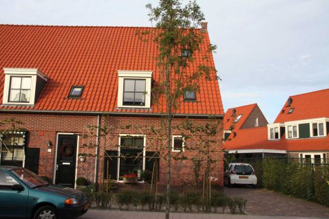 2013-11/mb 2013_10_03 3190.jpg