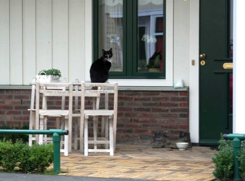 2013-10/pd0911284900 2.jpg