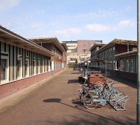 2013-11/pd 2010_04_07 0815 2.jpg