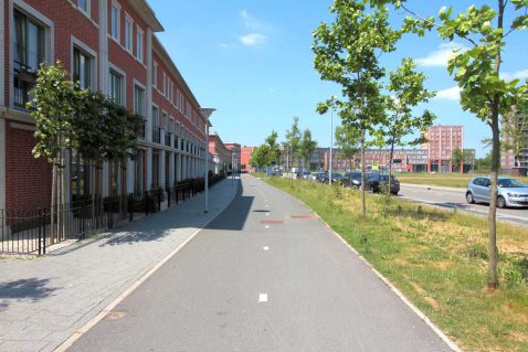 2013-11/pd 2011_05_21 8749.jpg