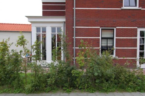 2013-10/pd 2011_09_21 0405.jpg