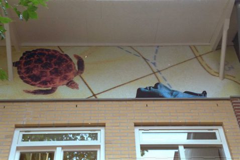 2014-11/Photo 11 of 22 (1).jpg