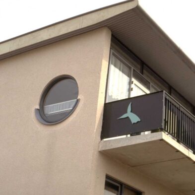 2013-11/Photo 14 of 100.jpg